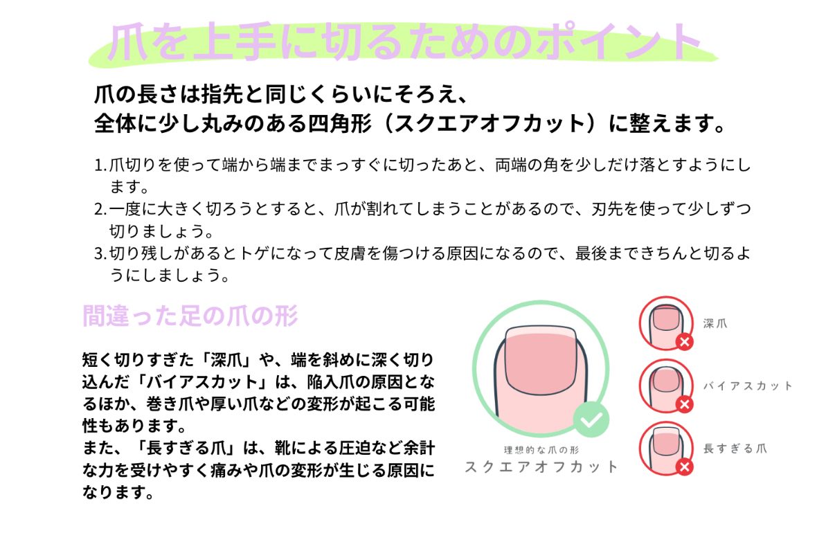 サンダルの季節👡🐢